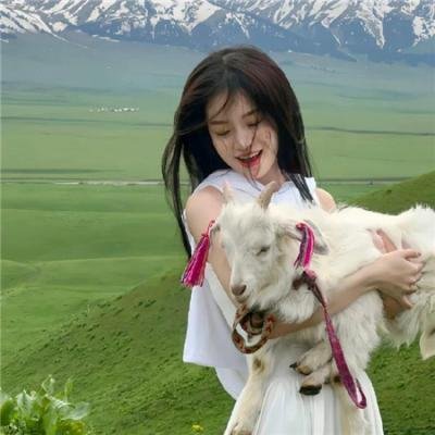 茅山打更人 封面